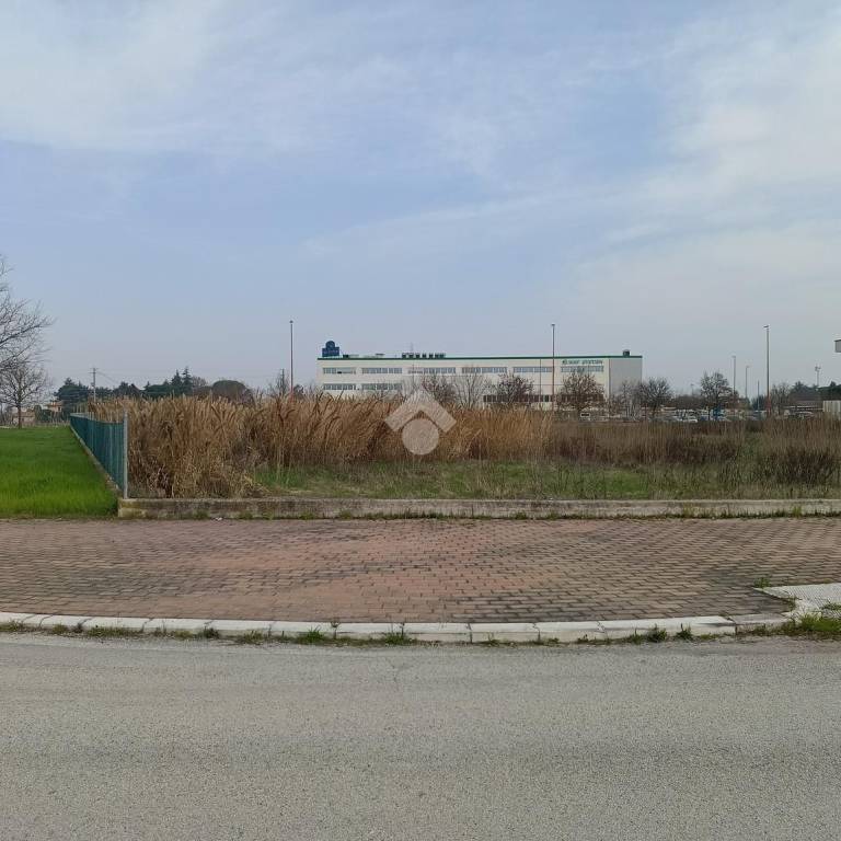 immagine annuncio 10 di 12