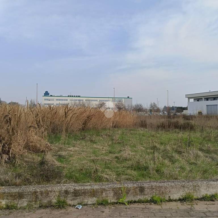 immagine annuncio 11 di 12