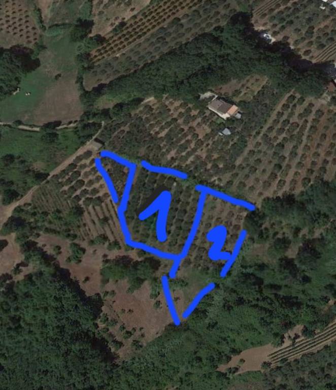 immagine annuncio 12 di 13