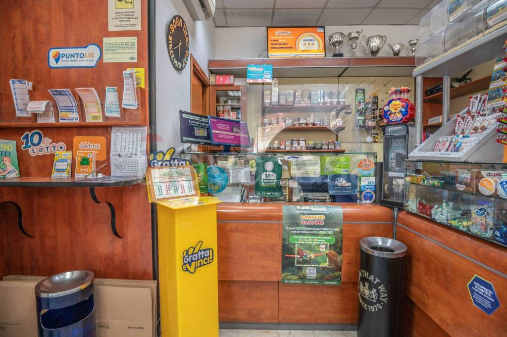 immagine annuncio 12 di 15