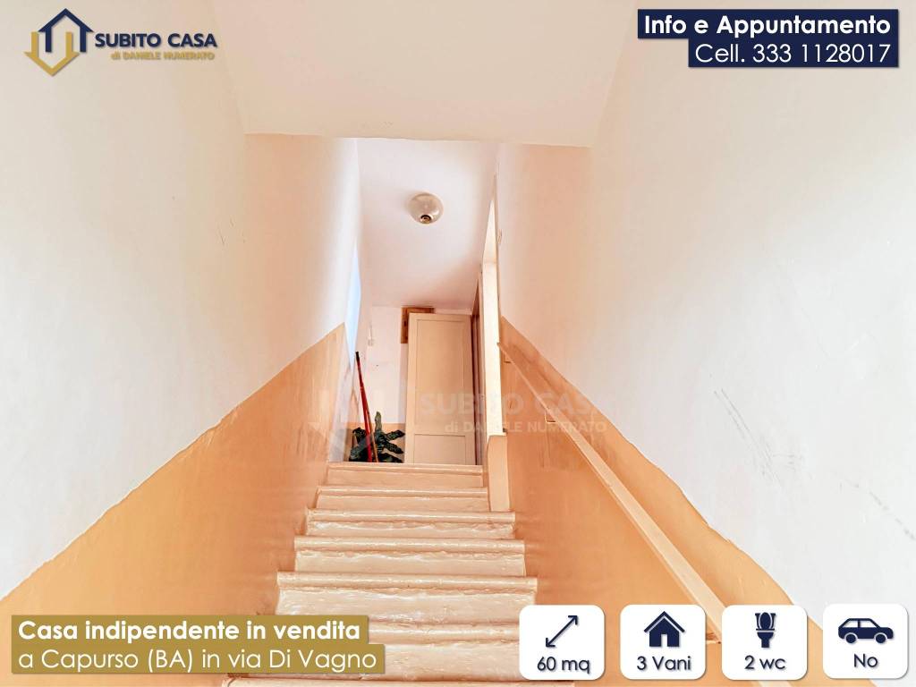 immagine annuncio 1 di 7