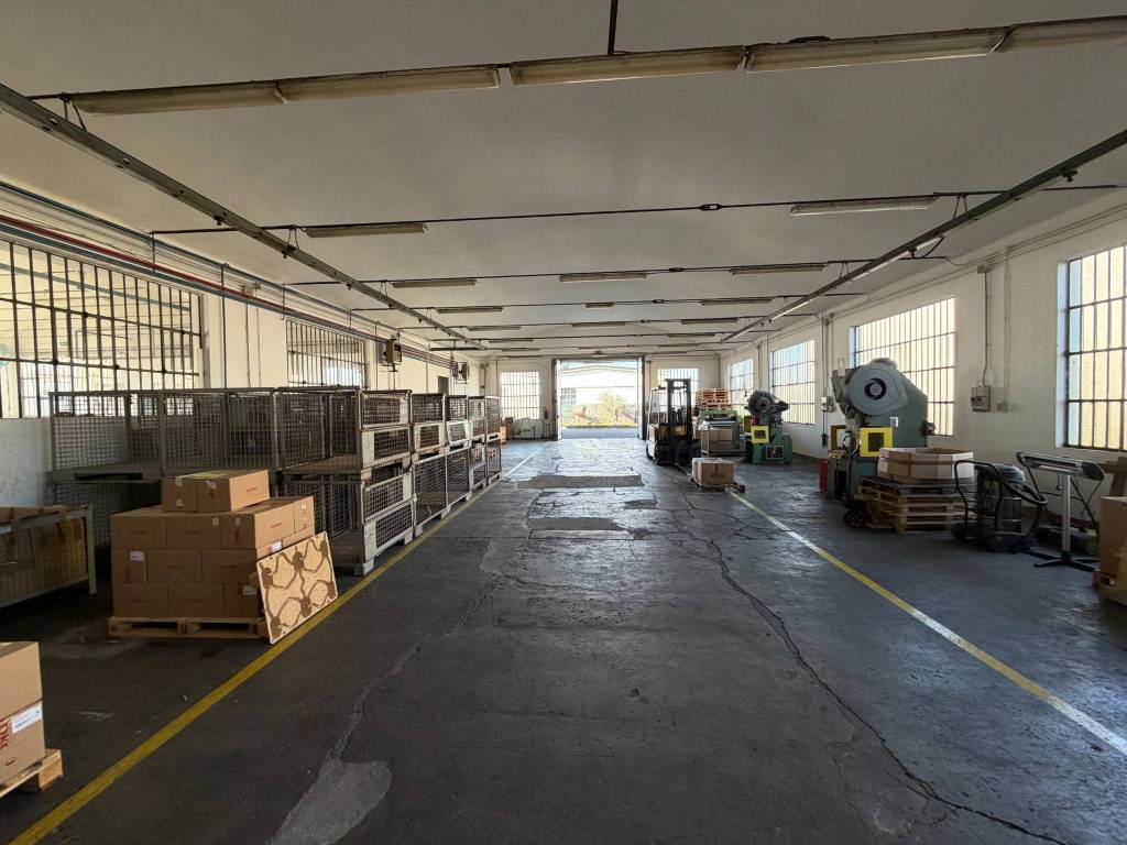 immagine annuncio 11 di 15