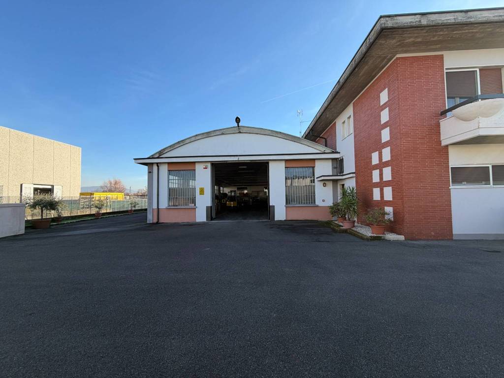 immagine annuncio 12 di 15