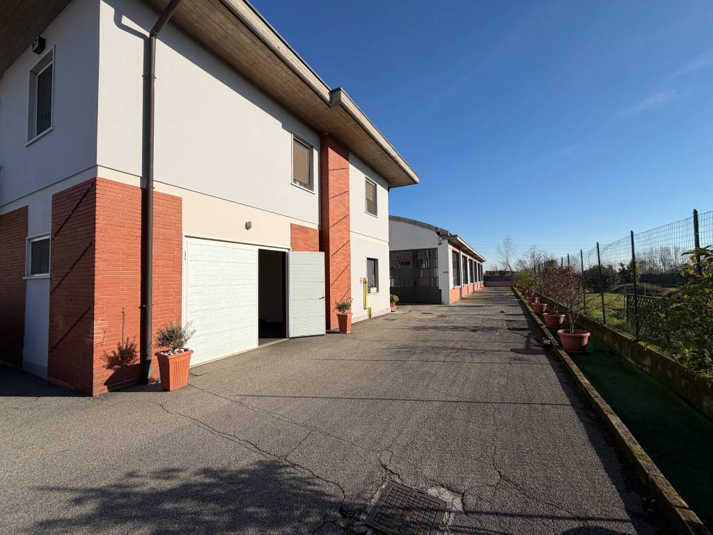 immagine annuncio 14 di 15