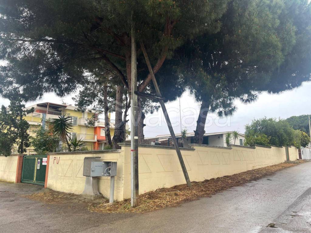 immagine annuncio 5 di 6