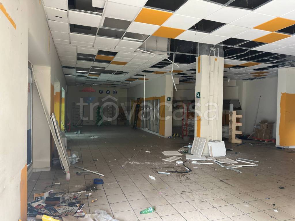 immagine annuncio 3 di 11