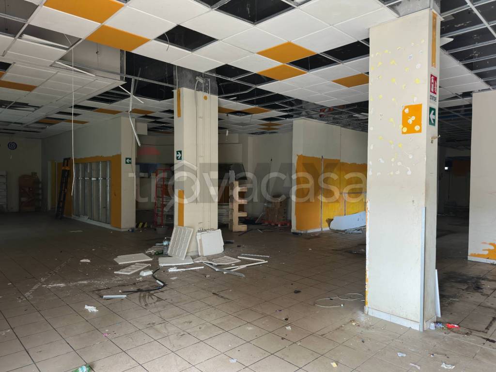 immagine annuncio 4 di 11