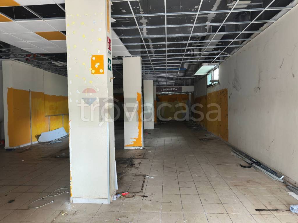 immagine annuncio 5 di 11