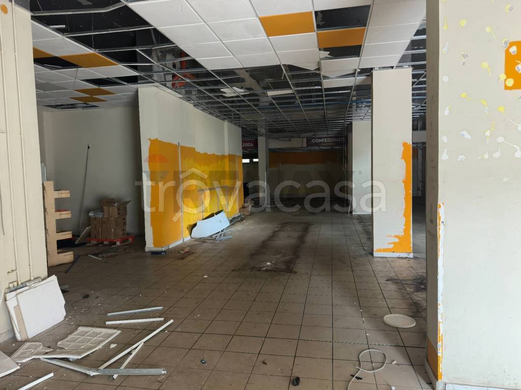 immagine annuncio 6 di 11