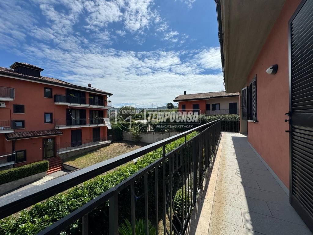 immagine annuncio 2 di 6