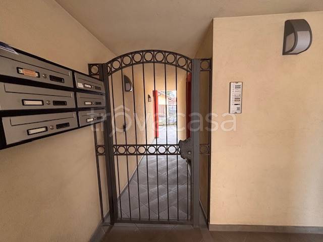 immagine annuncio 12 di 14