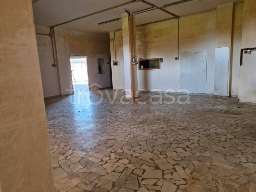 immagine annuncio 2 di 6