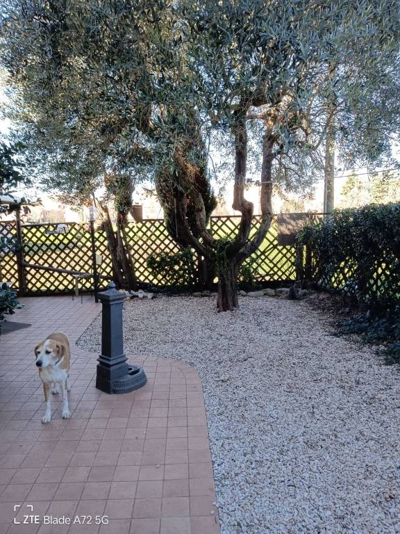 immagine annuncio 9 di 13