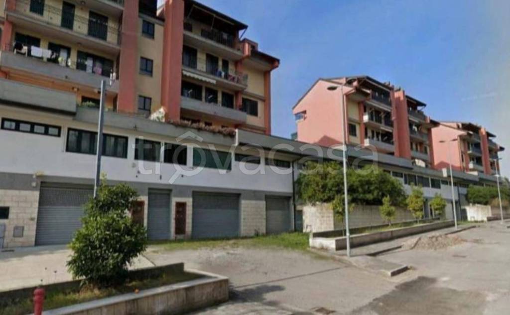 immagine annuncio 1 di 11