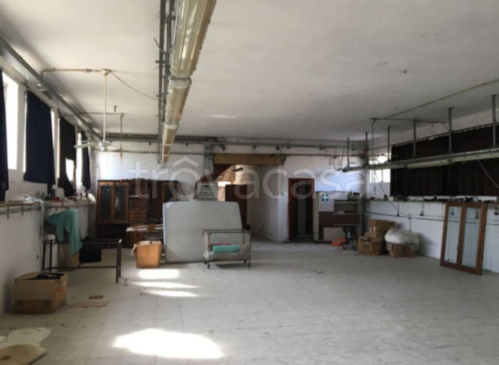 immagine annuncio 6 di 13