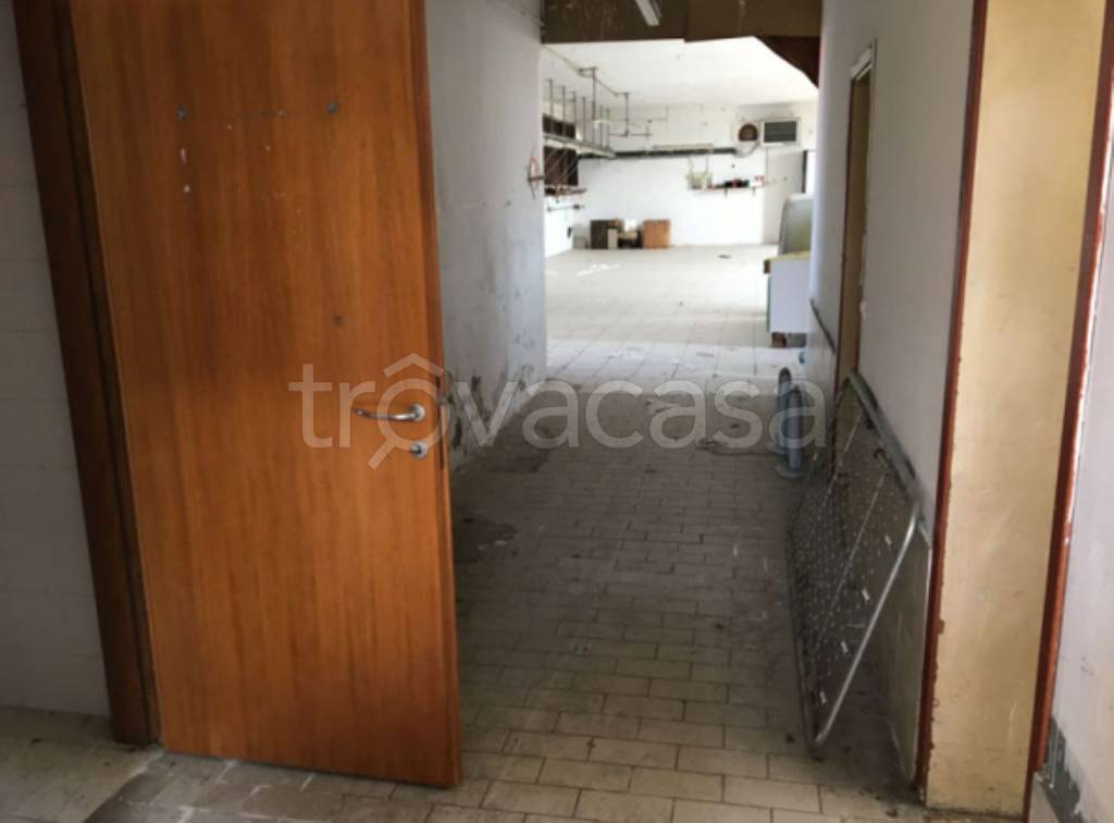 immagine annuncio 12 di 13