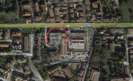 immagine annuncio 1 di 14