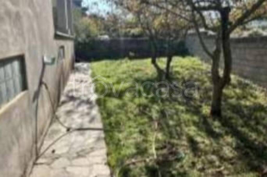 immagine annuncio 5 di 11