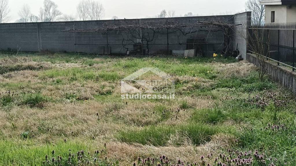 immagine annuncio 3 di 7