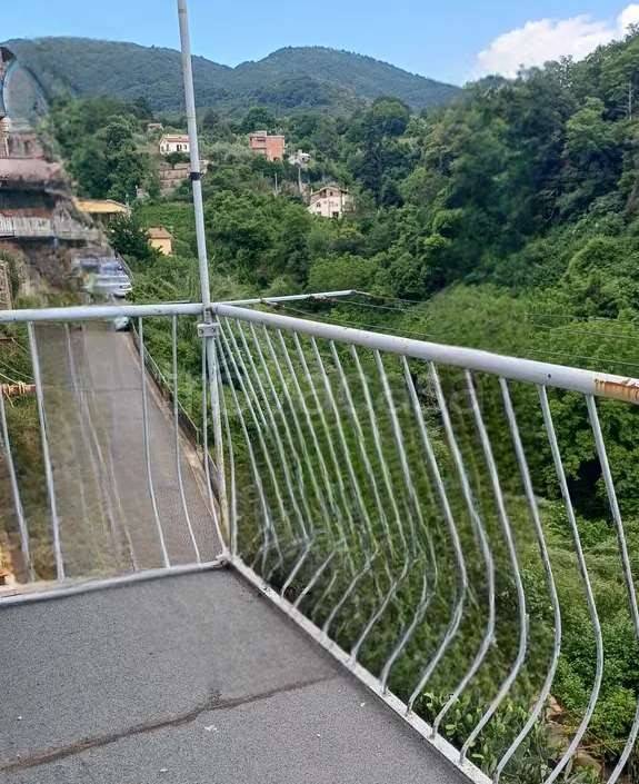 immagine annuncio 4 di 8