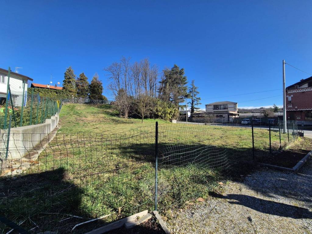 immagine annuncio 3 di 8