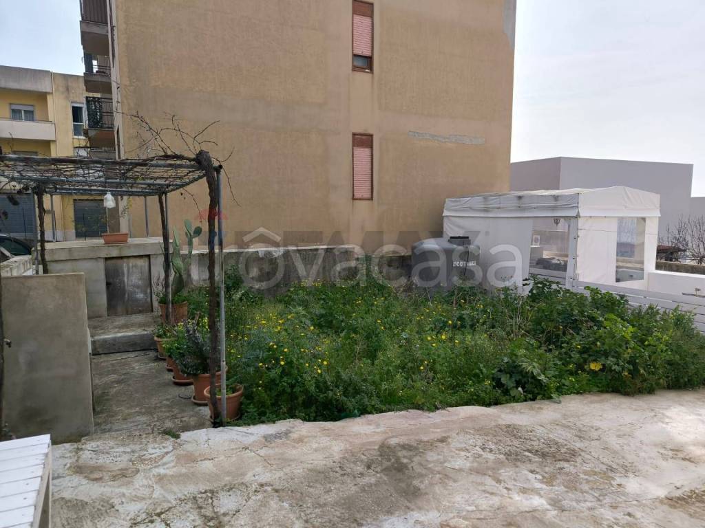 immagine annuncio 11 di 14