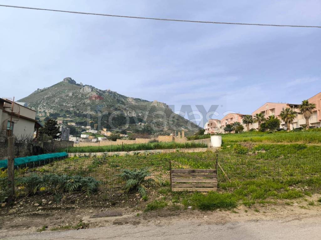 immagine annuncio 12 di 14