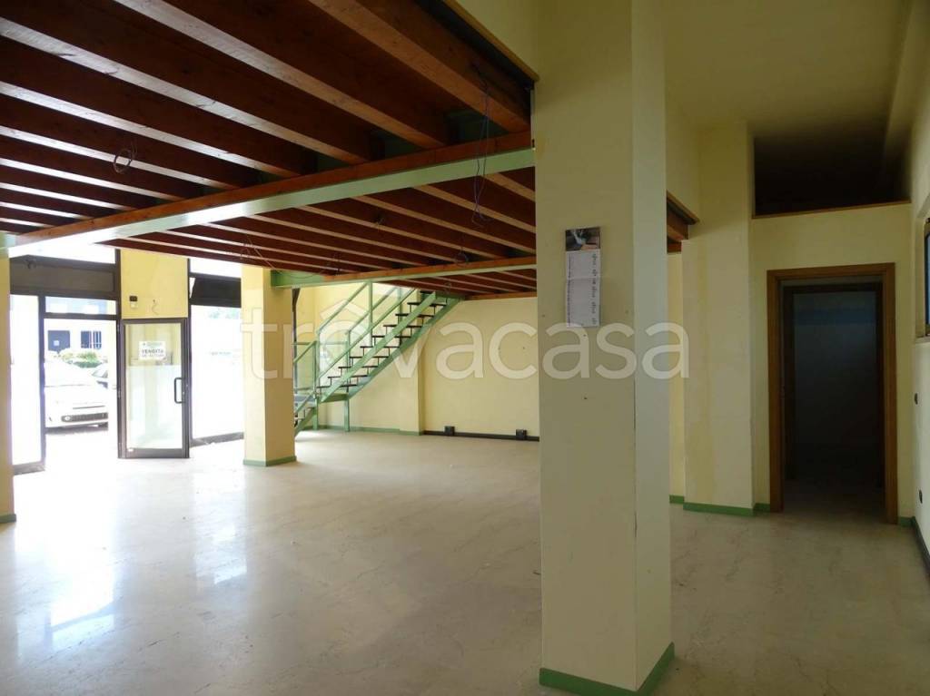 immagine annuncio 4 di 14