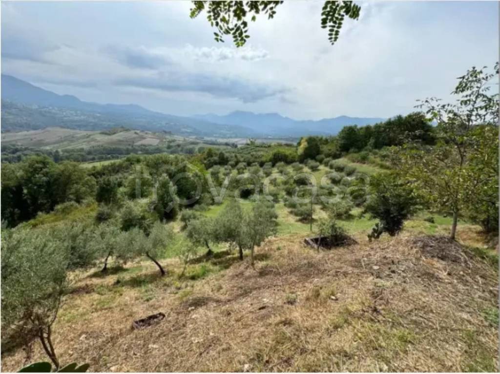 immagine annuncio 2 di 9