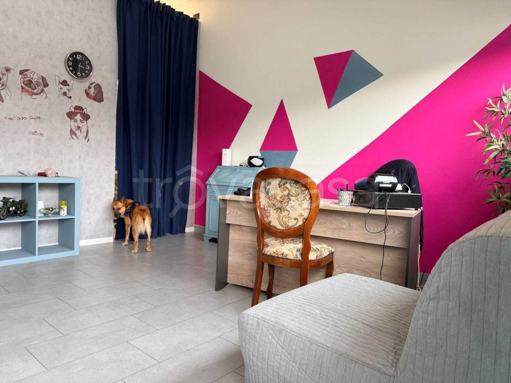 immagine annuncio 2 di 9