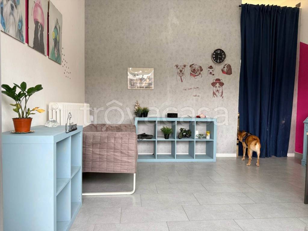 immagine annuncio 3 di 9