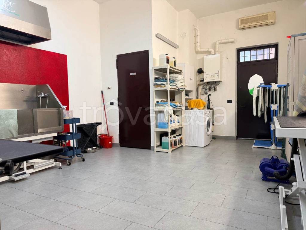 immagine annuncio 4 di 9