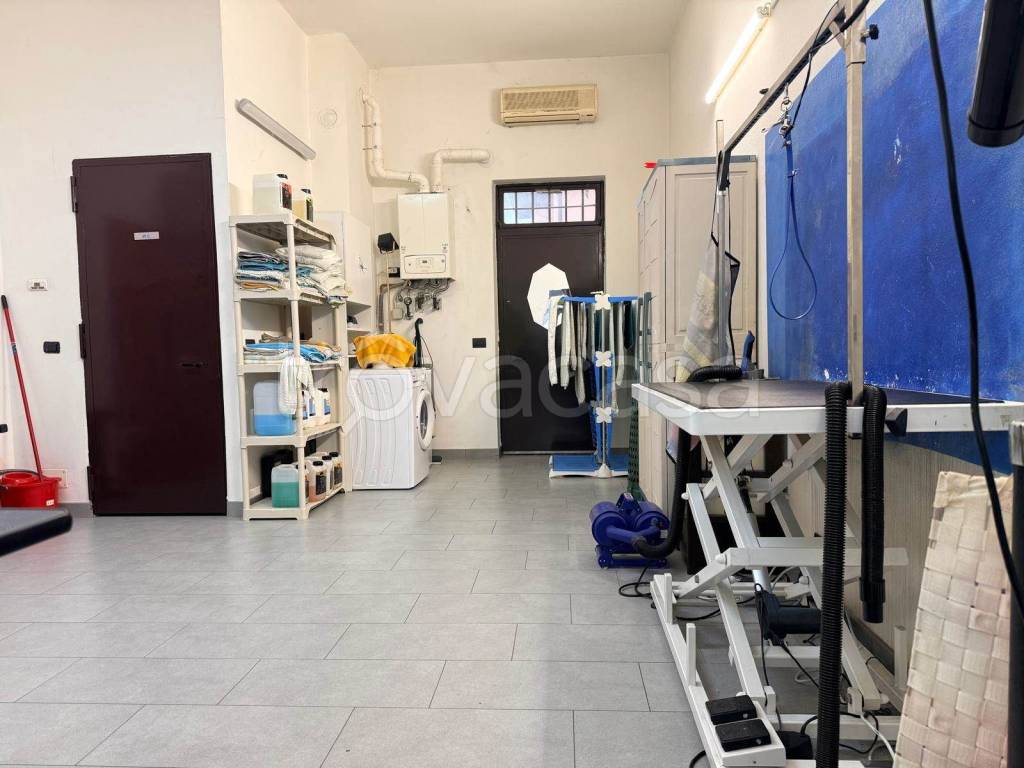 immagine annuncio 5 di 9