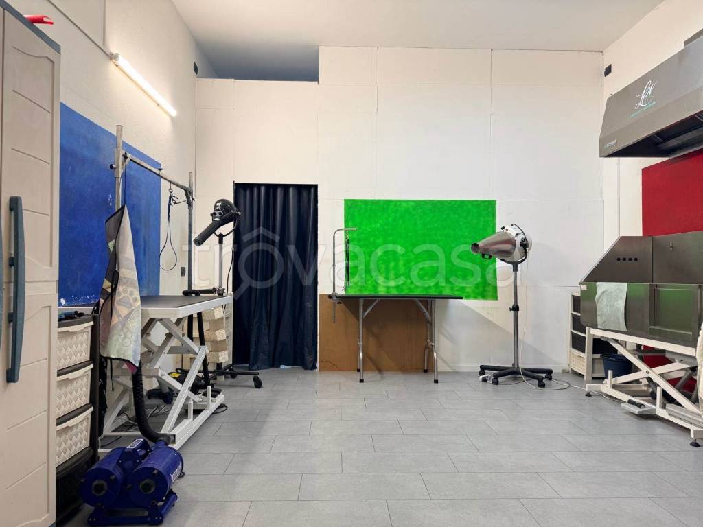 immagine annuncio 6 di 9