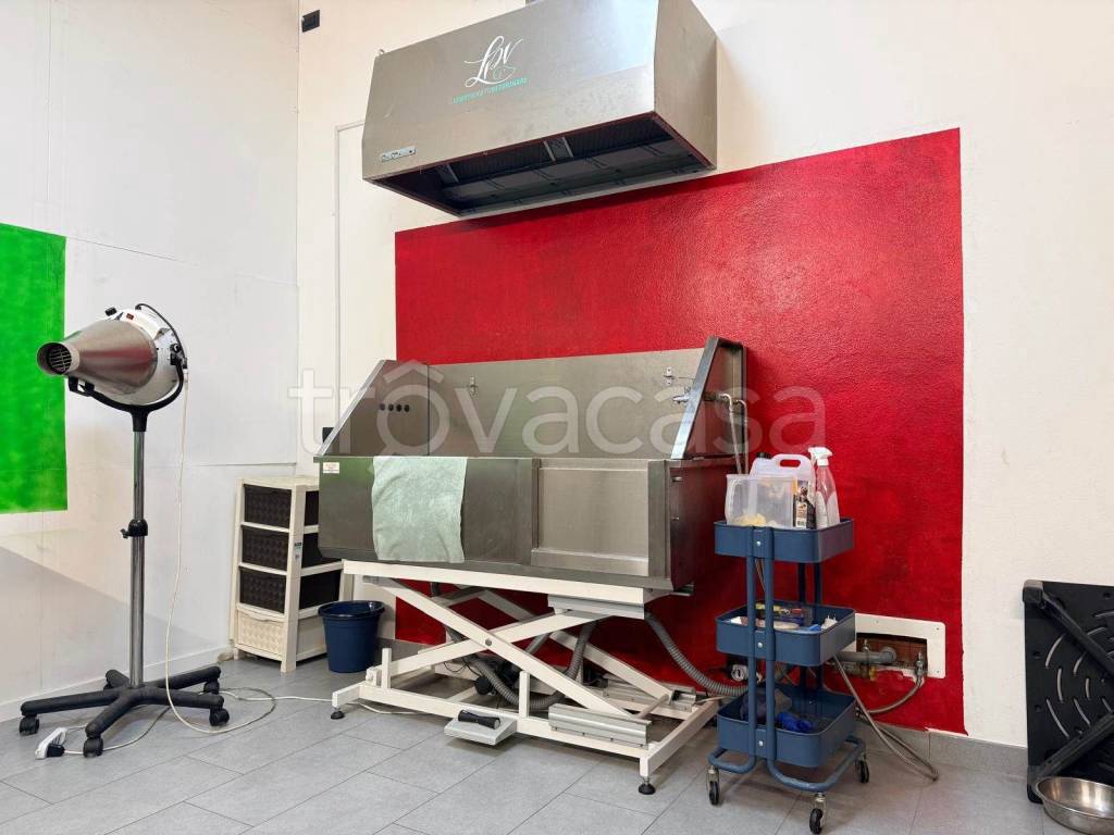 immagine annuncio 7 di 9