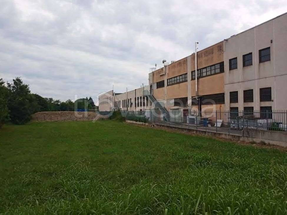 immagine annuncio 8 di 15