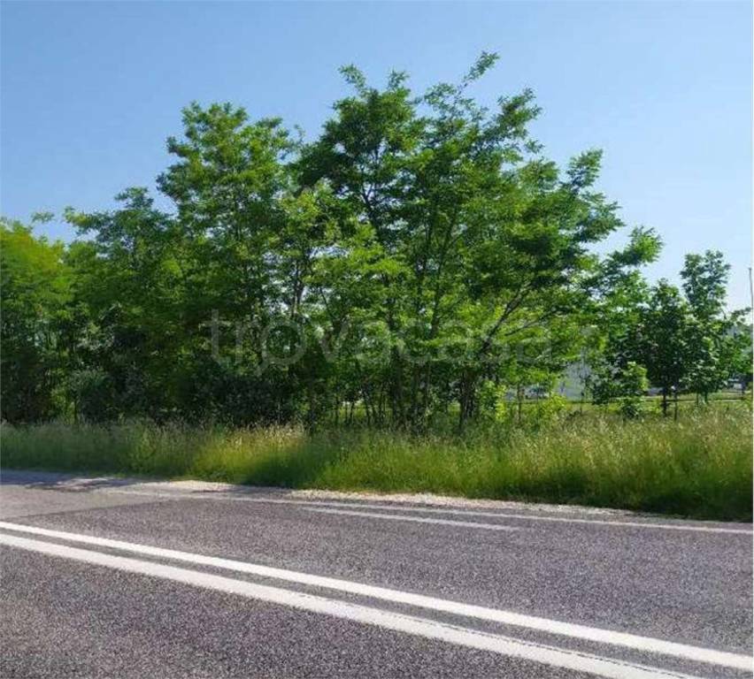 immagine annuncio 8 di 11