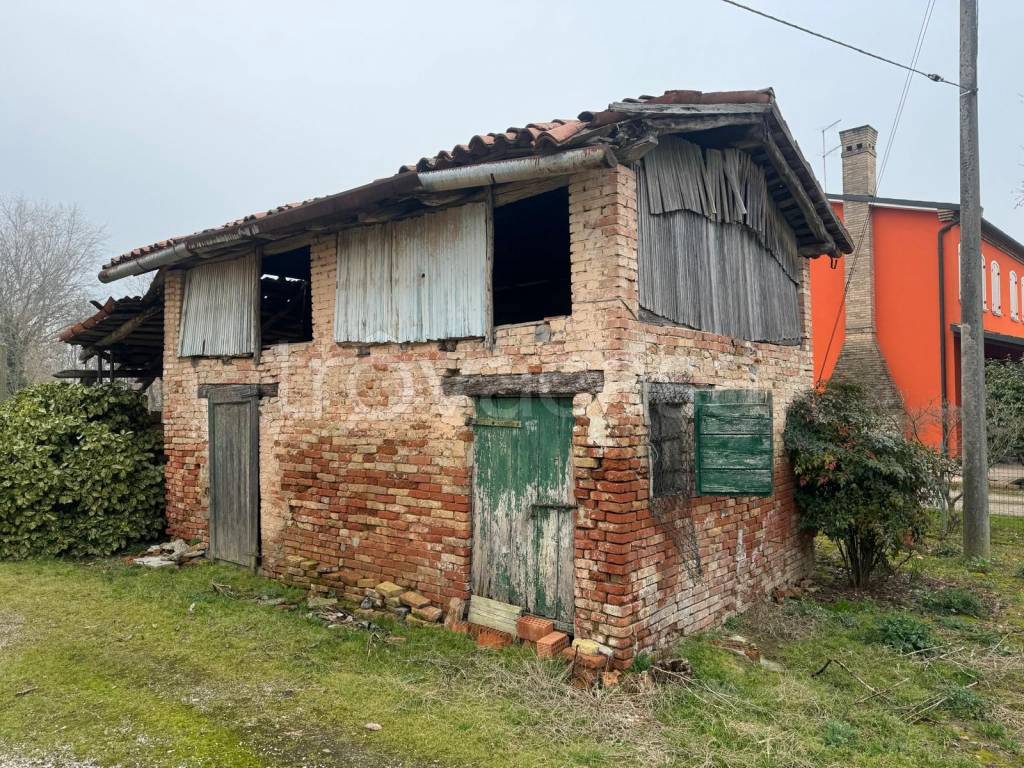 immagine annuncio 5 di 9