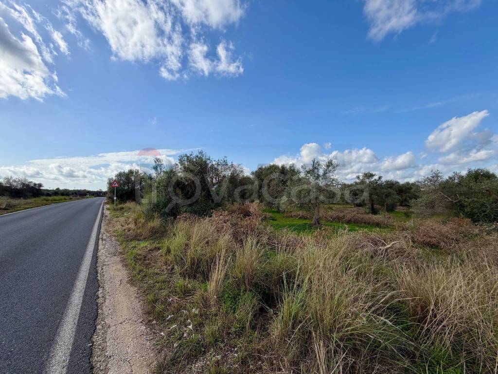 immagine annuncio 2 di 14