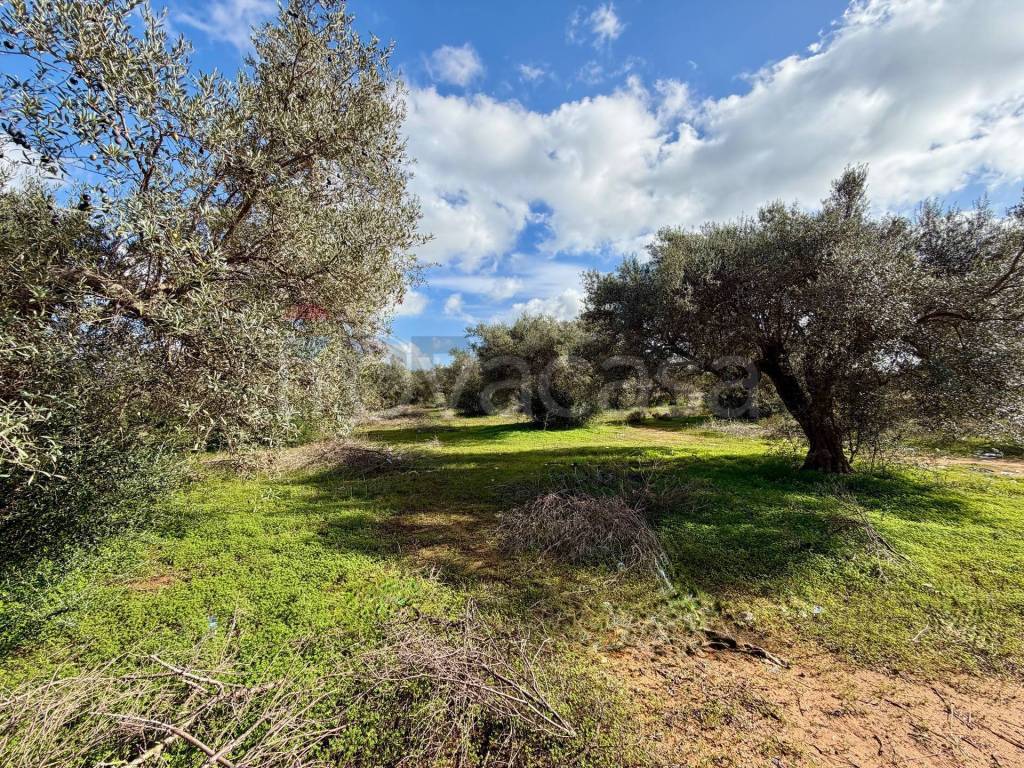 immagine annuncio 5 di 14