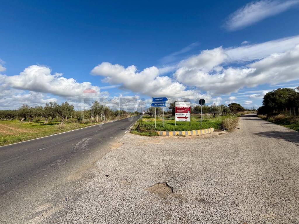 immagine annuncio 12 di 14