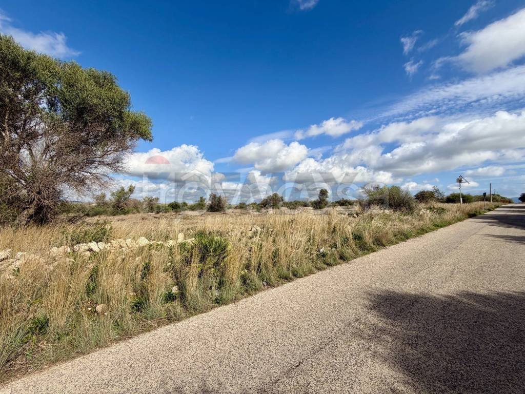 immagine annuncio 4 di 13