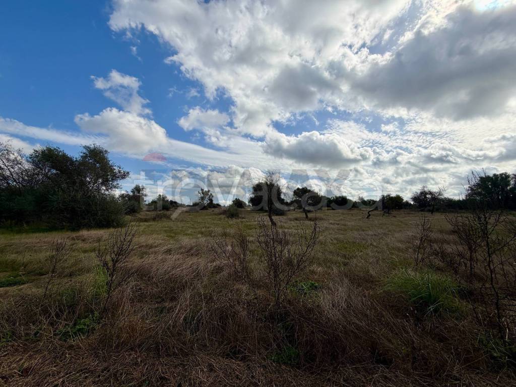 immagine annuncio 7 di 13