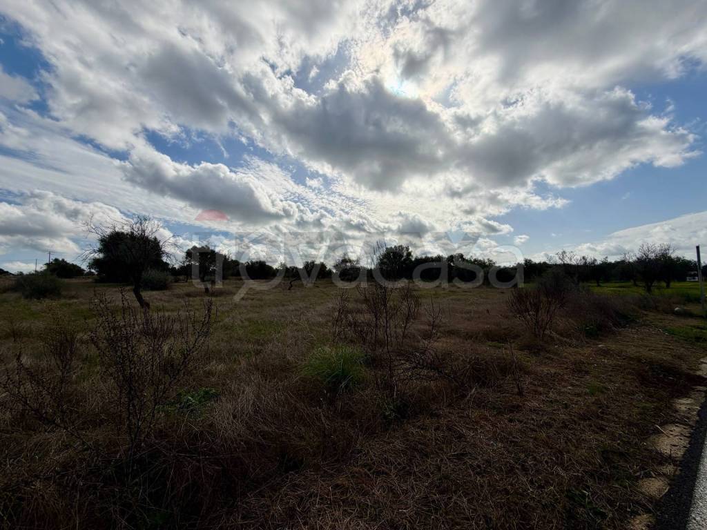 immagine annuncio 8 di 13