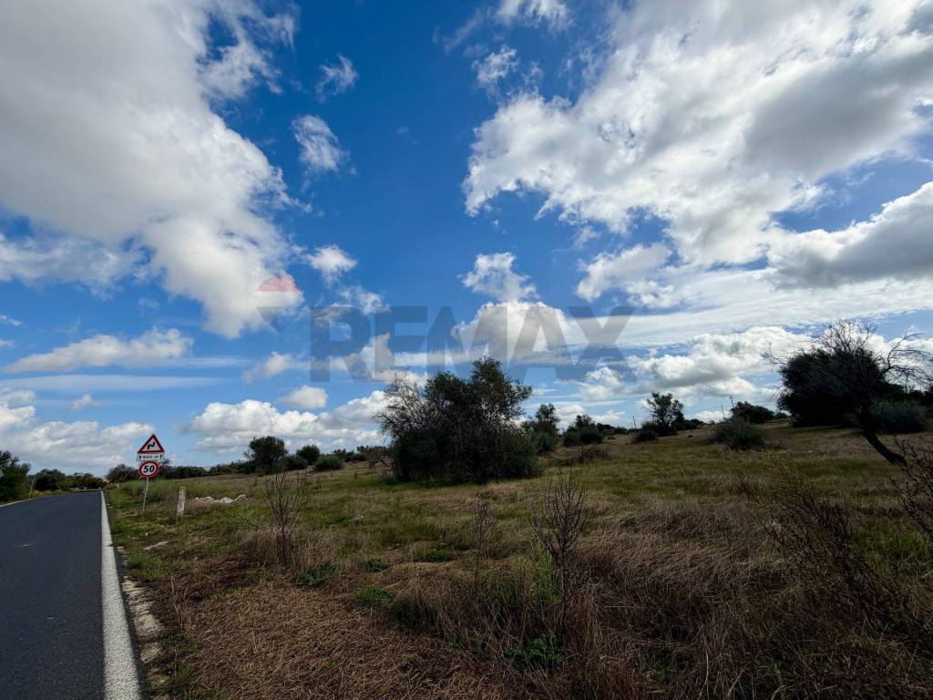 immagine annuncio 9 di 13