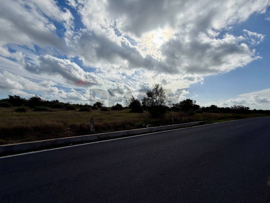 immagine annuncio 10 di 13