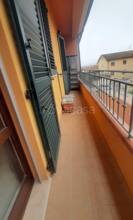 immagine annuncio 4 di 9