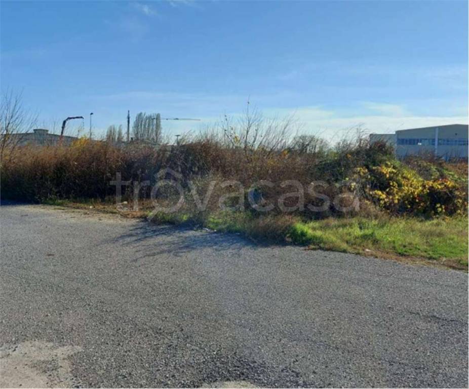 immagine annuncio 5 di 11