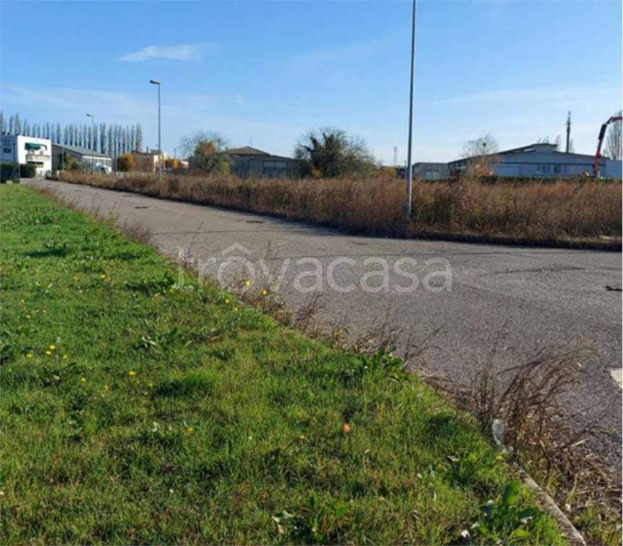 immagine annuncio 6 di 11