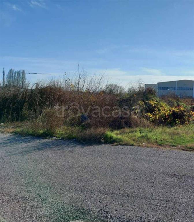 immagine annuncio 8 di 11